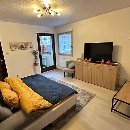 Superbe F2 Terrasse, Route Du Vin, Florival Apartment Guebwiller Exterior foto